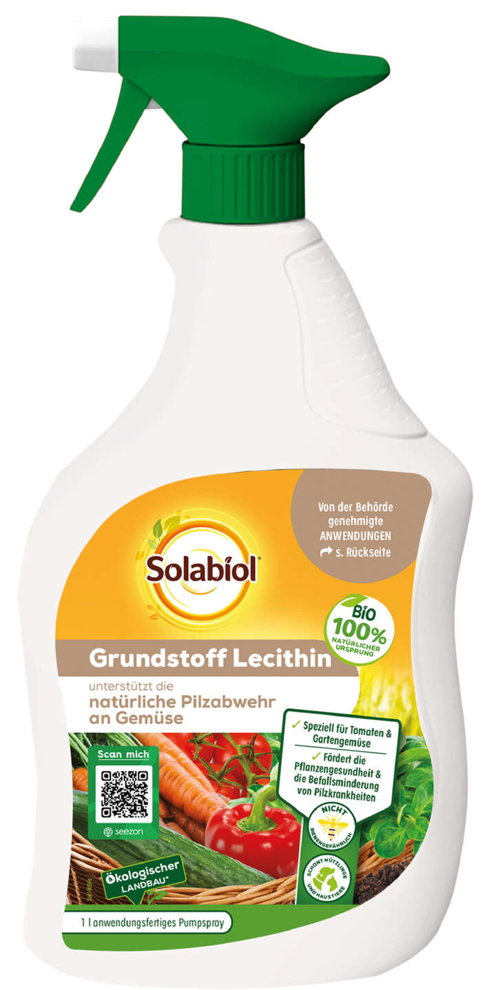 Solabiol Grundstoff Lecithin AF
